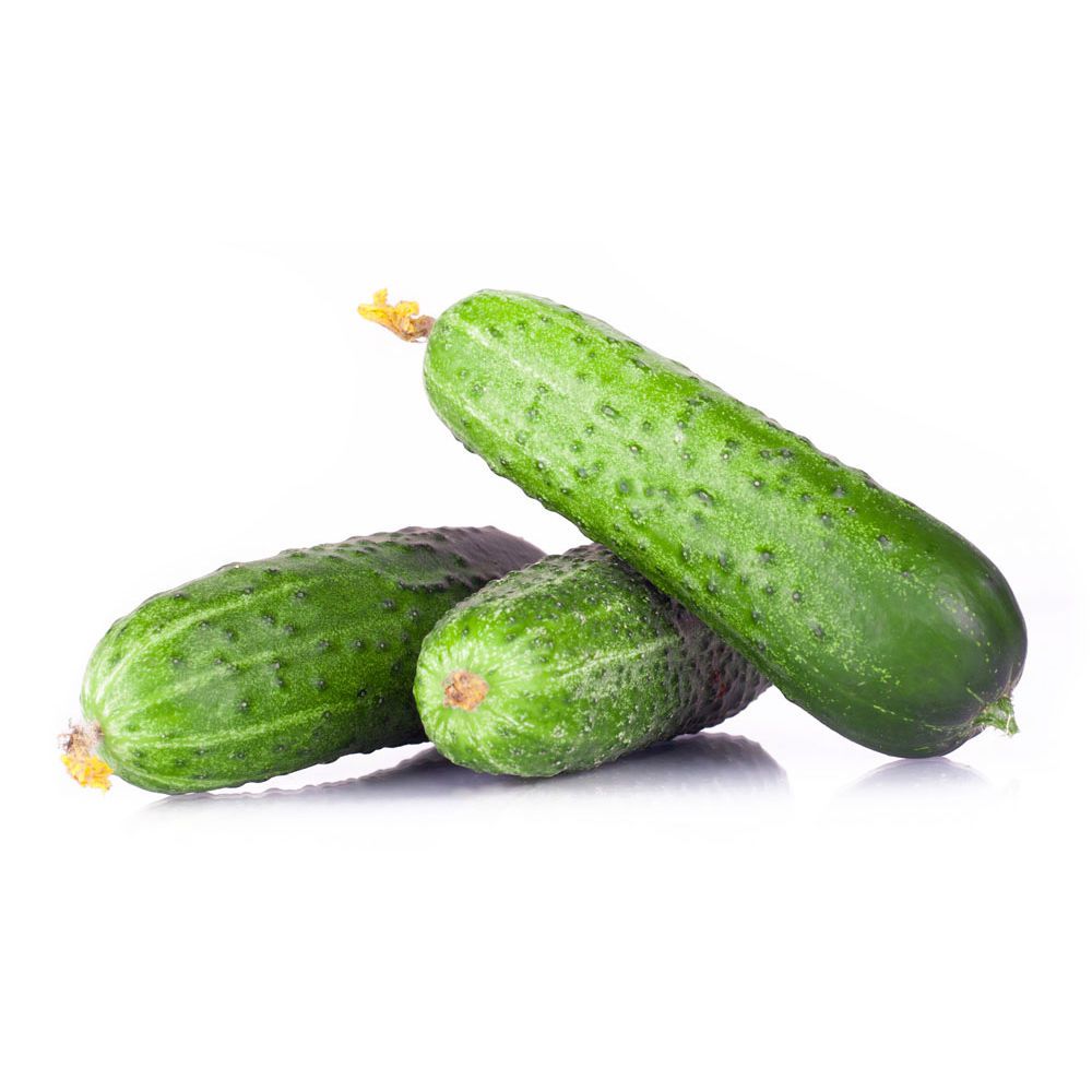 43350e0a3ce5e4aa54ddaf90d33728